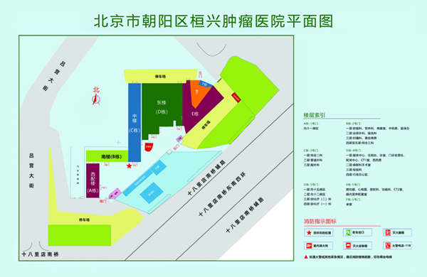 美女爆操视频软件北京市朝阳区桓兴肿瘤医院平面图